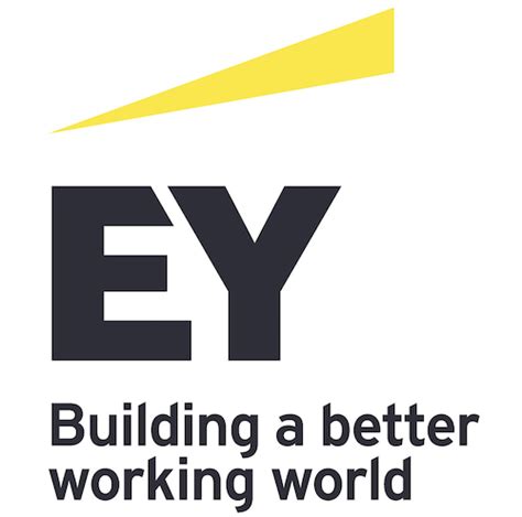 ey management consulting|who does ey audit.